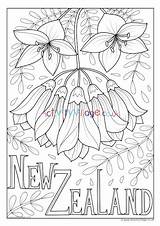 Colouring Zealand Flower National Pages Village Activity Explore Kids sketch template