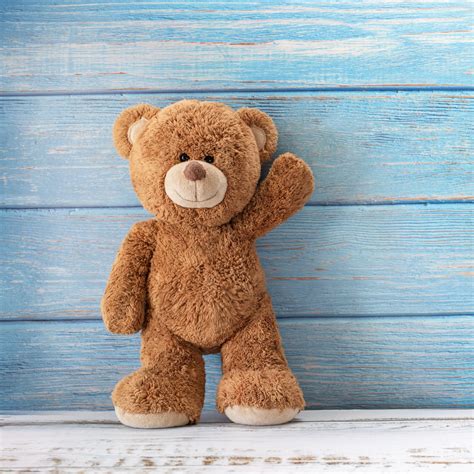 incredible compilation    teddy images  stunning  resolution