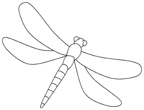 dragonfly  animals  printable coloring pages