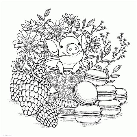 coloring pages  adults animals pictures