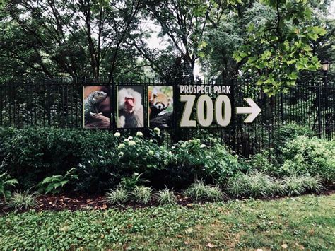 visiting prospect park zoo tips
