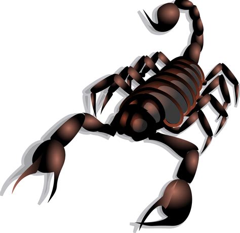 scorpion clip art vector scorpion png