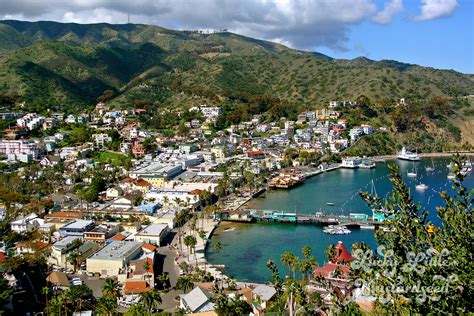 catalina island ca   paradise   coast  la dawn