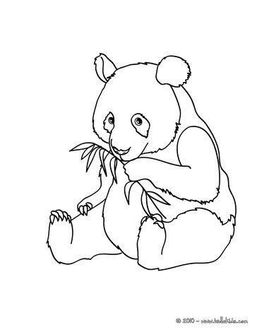giant panda coloring pages hellokidscom