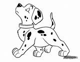 Dalmatian Worksheet Coloring Pages Template sketch template
