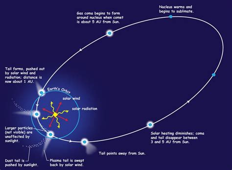 diagram showing elongated orbit   comet   coma forms   approaches sun solar