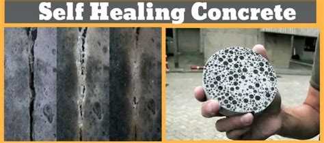 Self Healing Concrete A New Innovation In Civil Engineering Civiconcepts