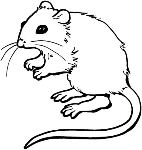 mouse  coloring page supercoloringcom