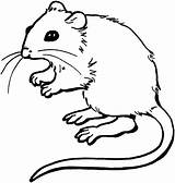 Mouse Coloring Pages Color Supercoloring sketch template