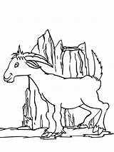 Coloring Mountain Hill Pages Goat Playing Around Size Color Print sketch template