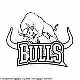 Bulls sketch template