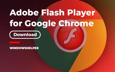 adobe flash player  google chrome