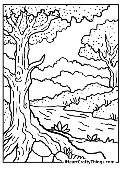 forest coloring pages   printables