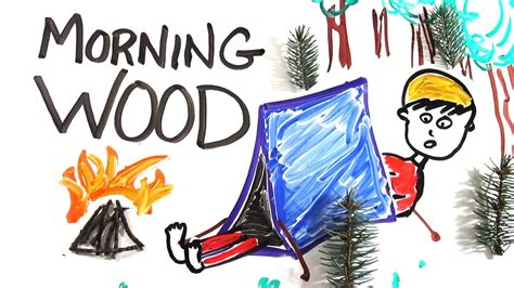the science of morning wood youtube