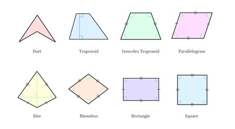quadrilateral definition properties shapes