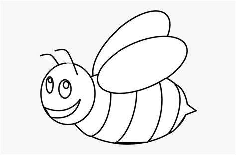 outline images  honey bee  transparent clipart clipartkey
