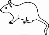 Rato Colorir Tikus Rat Pngegg Putih Ultracoloringpages sketch template