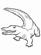 Coloring Crocodile Pages Printable Kids sketch template