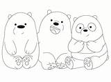 Bears Bare Osos Colorear Print sketch template