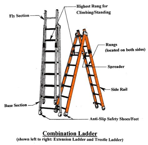 ladders  american ladder institute