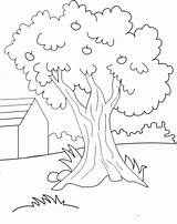 Mewarnai Pohon Belajar Menggambar Terbaru sketch template
