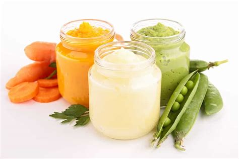 guide  homemade baby food