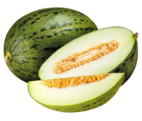 graines de melon pinonet cucumis melo  graines par sachet le melon pinonet ou piel