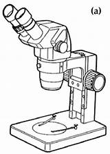 Microscope Drawing Line Compound Fish Health Dissecting Management Getdrawings Binocular Clipart Clip Vfa sketch template