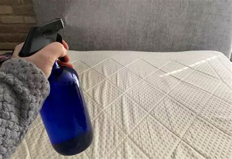 How To Make Homemade Bed Bug Spray 3 Best Recipes