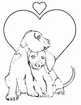 Coloring Pages Puppy Retriever Golden Getcolorings sketch template