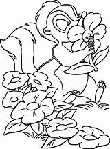 Flower Coloring Skunk Bambi Pages Nose Wecoloringpage sketch template