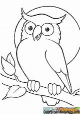 Owl Drawings Drawing Kids Coloring Simple Cartoon Owls Pages Color Easy Outline Para Animal Amazing Getdrawings Search Books Imgarcade Visit sketch template