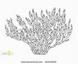 Coral Reef Coloring Pages Zentangle Vector Drawing Barrier Illustration Isolated Drawings Ocean Shutterstock Divyajanani Fish Sketches sketch template