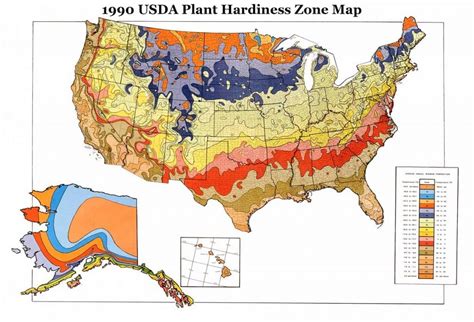 Plant Hardiness Zones And Microclimate Creating Your