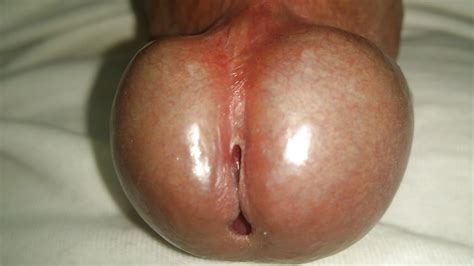thick fat cock perfect swollen head 15 pics xhamster