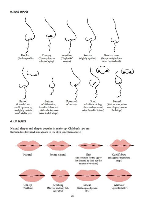 nose shapes google search lip shapes nose shapes shape chart