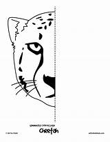 Pages Symmetry Drawing Worksheets Coloring Printable Symmetrical Kids Activities Animal Cat Activity Worksheet Half Finish Mirror Hub Line Cheetah Arts sketch template