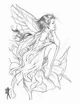 Coloring Pages Fairy Fairies Drawings Mermaid Para Enchanted Hadas Adults Designs Adult Printable Sheets Books Various Colorear Color Von Kids sketch template