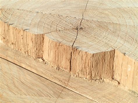 rough cut lumber hardwood flooring carpet vidalondon
