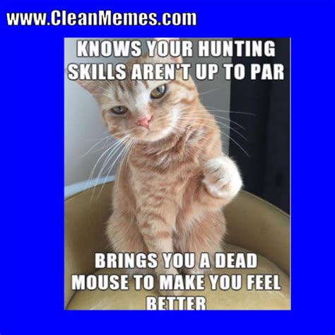 Clean Memes 01 02 2018 Clean Memes