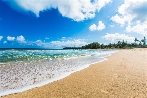 horizon palm tree hawaii kauai tropical sea ocean nature beach