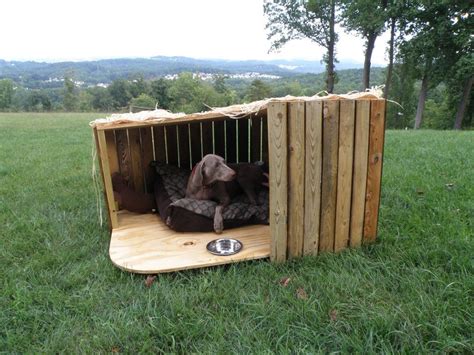 cold weather dog house ideas