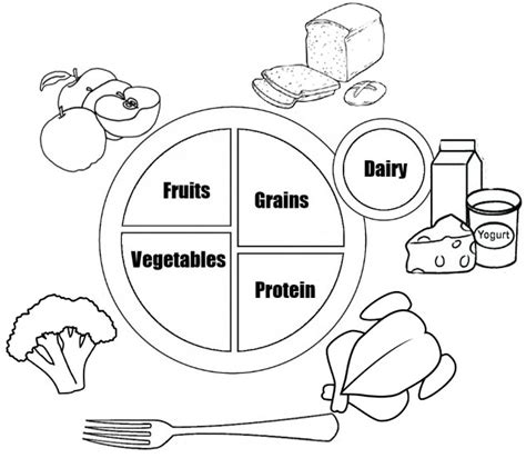 myplate coloring pages teach kids  types  foods coloring pages