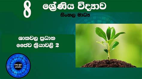 8 ශ්‍රේණිය විද්‍යාව ශාක වල ප්‍රධාන ජෛව ක්‍රියාවලි 2 Science Sinhala