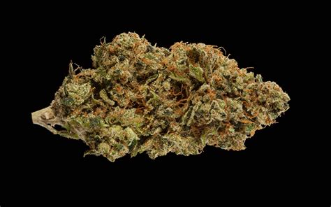 2016 Medical Cannabis Cup Top 10 Indica Flowers • High Times
