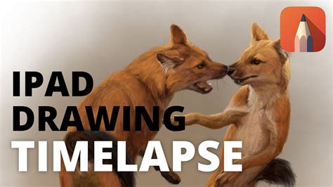 dancing dholes drawing timelapse youtube