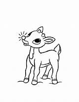 Reindeer Coloring Pages Printable Kids sketch template