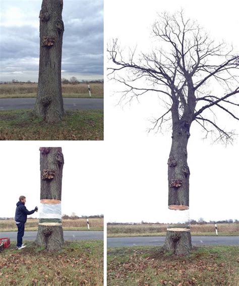 creative art involving  tree