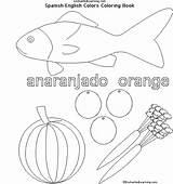 Spanish Colors Orange Learning Anaranjado Enchantedlearning Enchanted Search sketch template