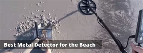 metal detector  beach reviews  guide